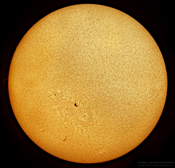 Highly Active Sun with many sunspots