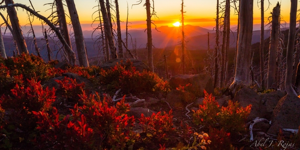 Hiked the PCT last year one of my fav sunsets was here at Mt Washington Wilderness Oregon 