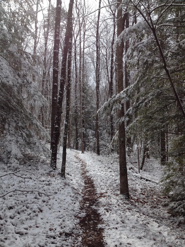 Hiking along a snowy path Hidden Passage Trail Pickett State Park Tennessee 