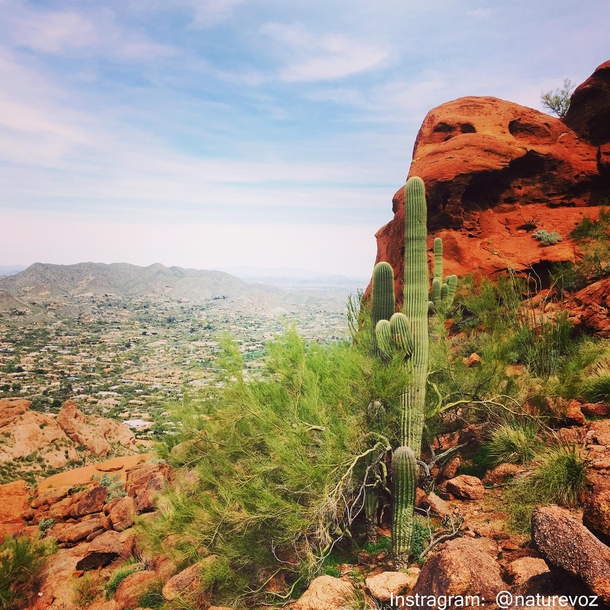 Hiking in the desert in the middle if a city is actually quite glorious Camelback Mountain Phoenix Arizona 