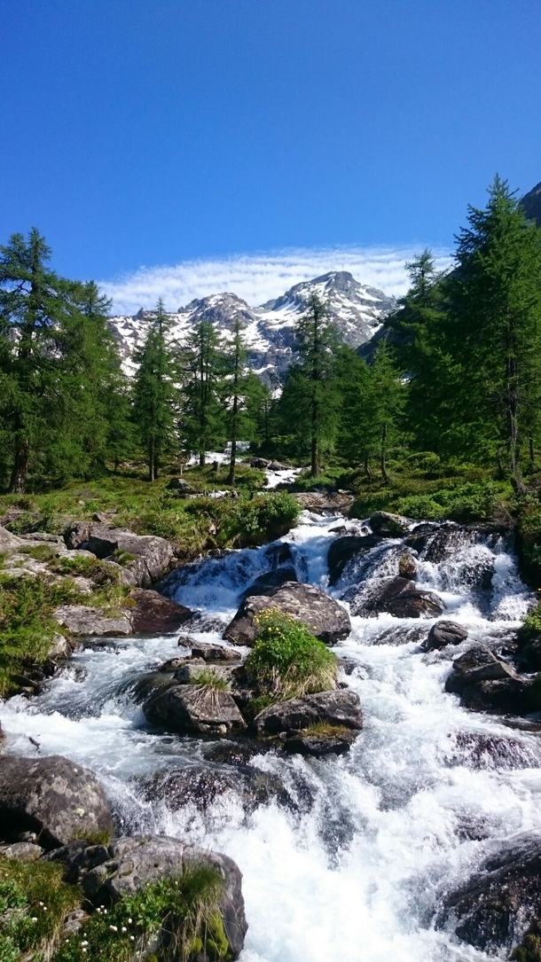 Hiking near Binn Switzerland 
