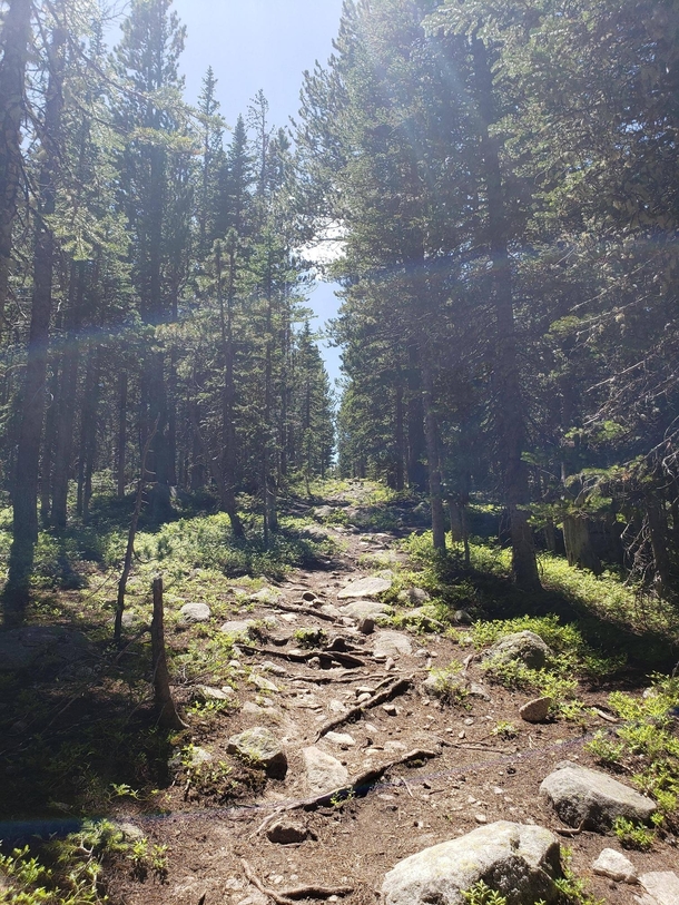 Hiking trail near Brainard Lake Colorado  x