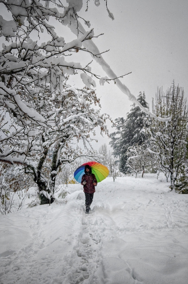 Himalayan winter Manali - Jan 