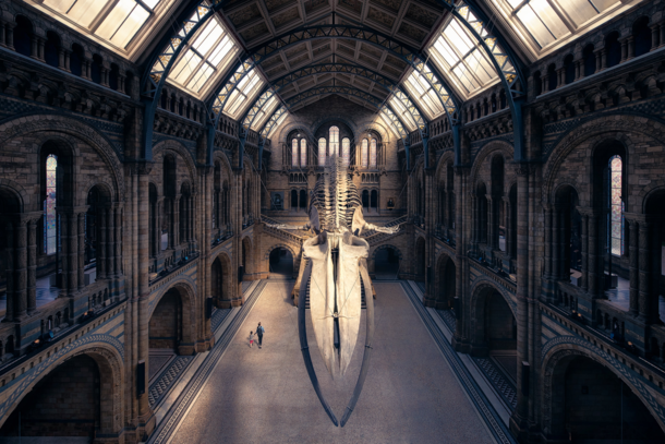 Hintze Hall Natural History Museum in London Photographed by Otto Berkeley