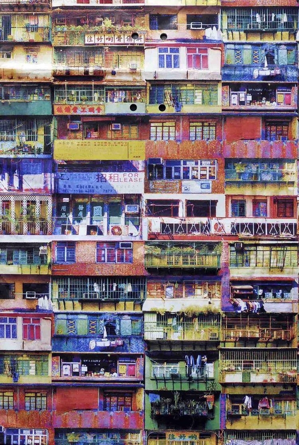 HK cage houses By Maria Rosa