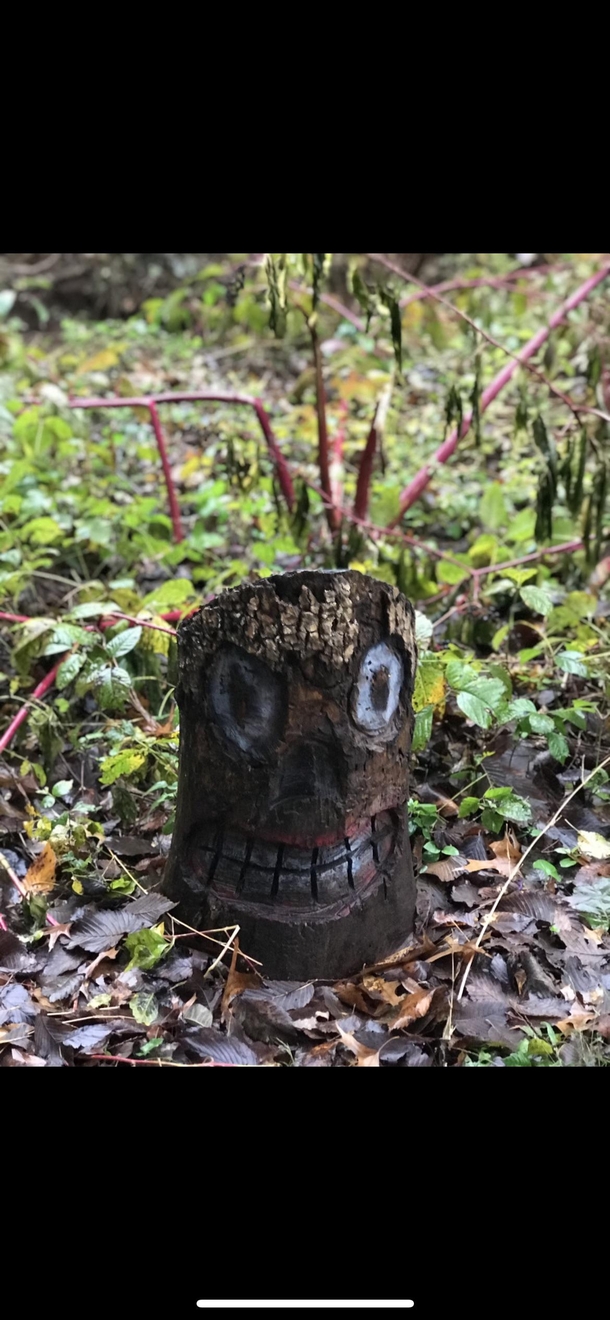 Hm found this in the woods 