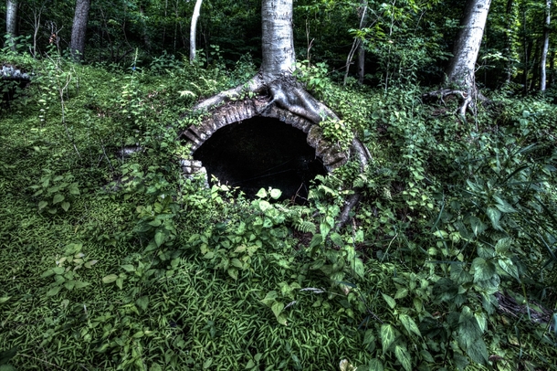 Hobbit hole  - abandoned string of brick domes along the Allegheny river