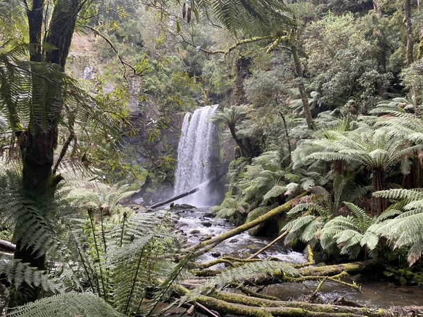 Hopetoun falls of the Otways national park In Australia Victoria One of my favourite places to visit x