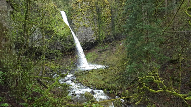 Horsetail Falls in Oregon USA 