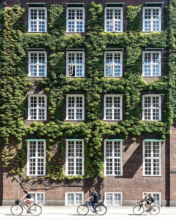 Houses in Copenhagen Denmark x