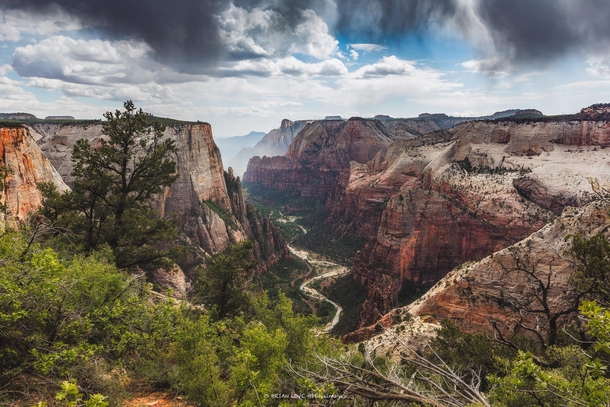 How could you not fall in love with this view atop the Observation Point Trail Zion National Park 