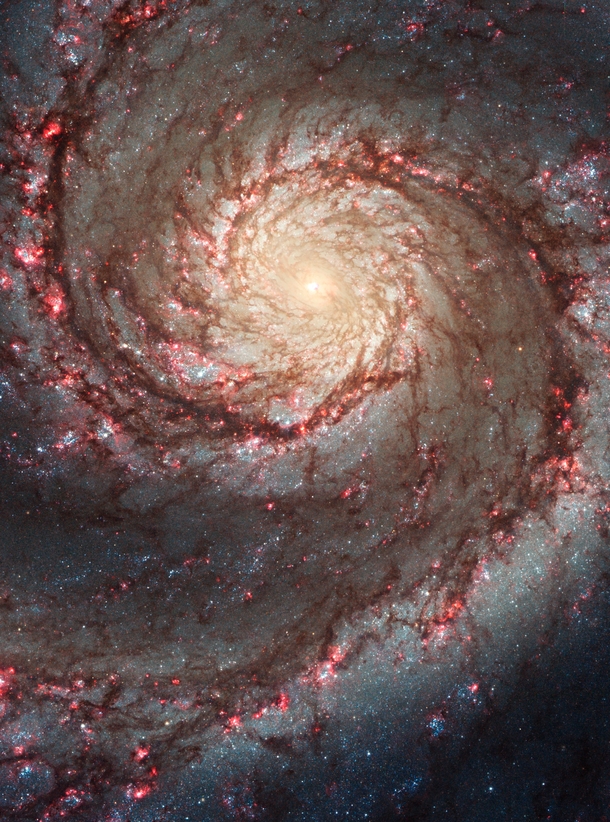 Hubble ACS visible image of M - the Whirlpool Galaxy 