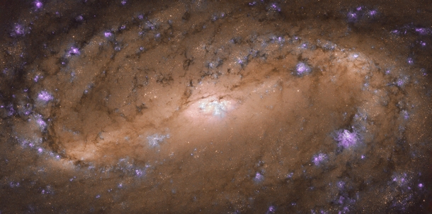 Hubble Spots Stunning Spiral Galaxy NGC  is located about  million light-years away in the constellation of Leo the Lion and was studied as part of a Hubble survey of the central regions of roughly  nearby disk galaxies 
