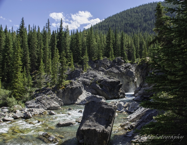 Hummingbird Creek Alberta Canada 
