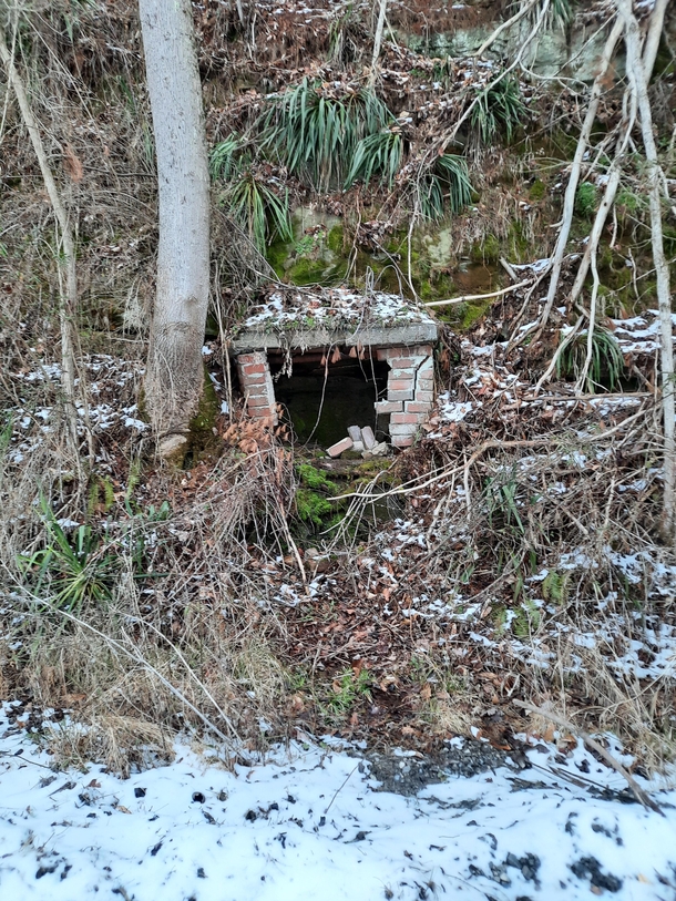 I am not  sure what this is Theres no chimney and it doesnt lead anywhere Built into the side of a hill