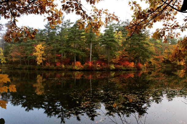 I captured this shot during a peaceful fall morning at a pond last year in Nova Scotia Canada  x