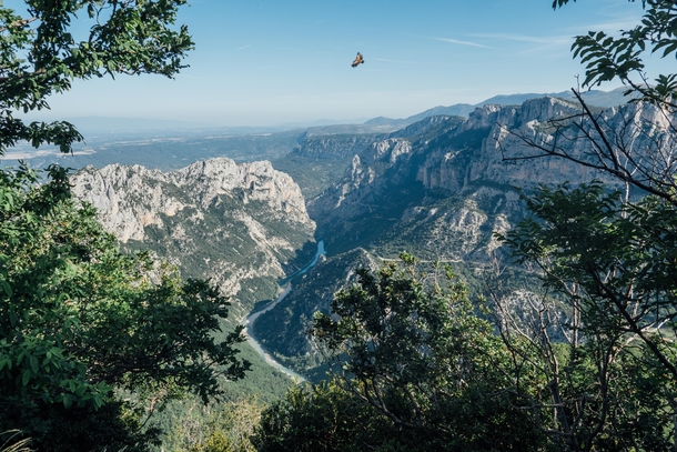 I cycled the Verdon Gorge France last week as part of a  week tour This is from one of the bigger climbs with a bonus Vulture in the shot