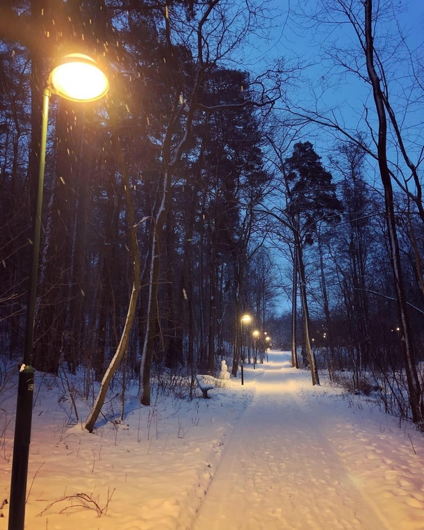 I enjoyed hiking around Stockholm listening to the snowfall