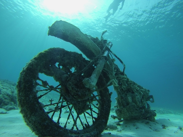 I found a motorcycle while freediving 