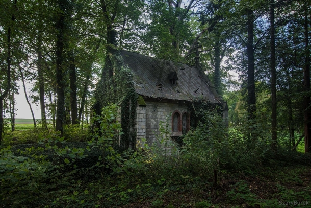 I found abandoned church in the wood 