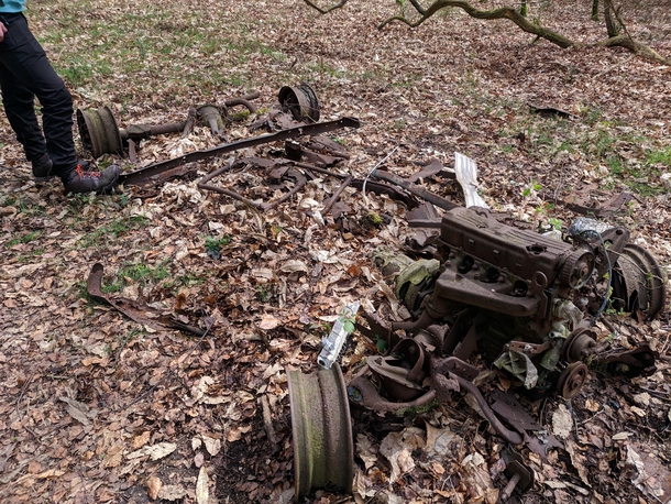 I found an old car in the middle of the woods