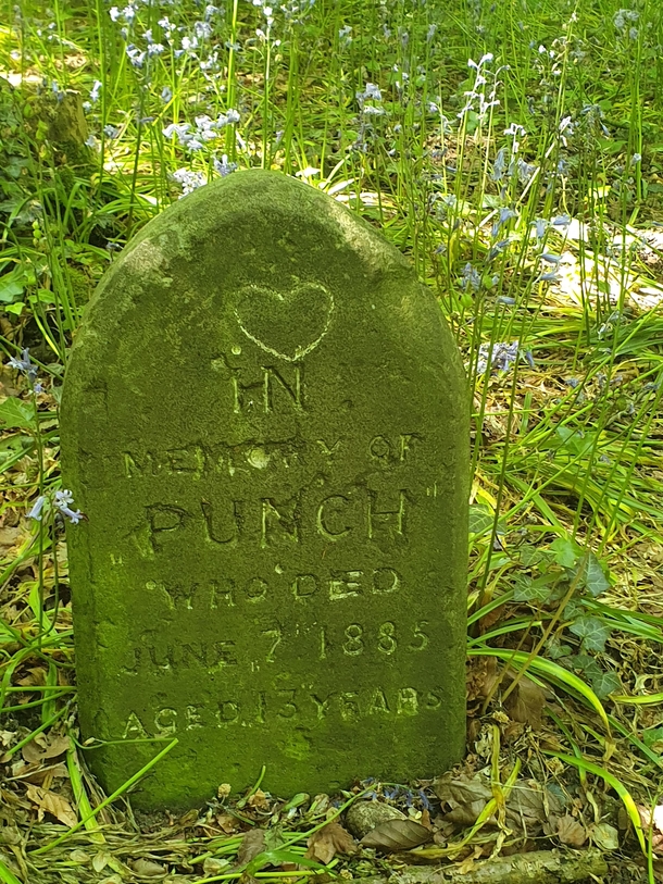 I found this gravestone for someones beloved dog in a wooded area just outside an old cemetary