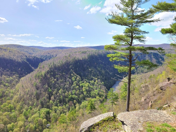 I got this awesome picture of Pine Creek Gorge PA  x