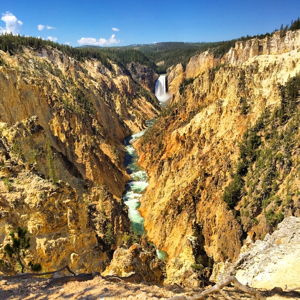 I guess this is why they call it Yellowstone 