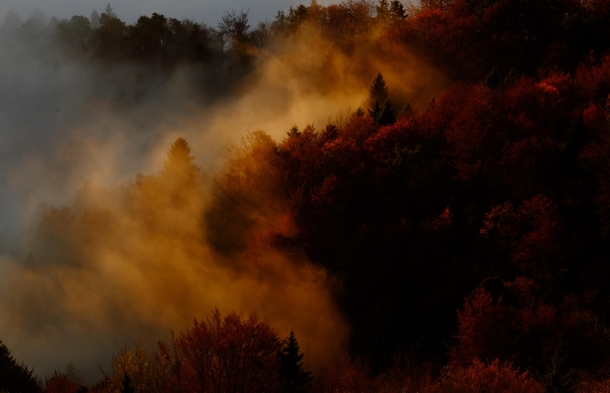 I hiked up a mountain through the night to get this photograph of the morning autumn mist Completely worth it 