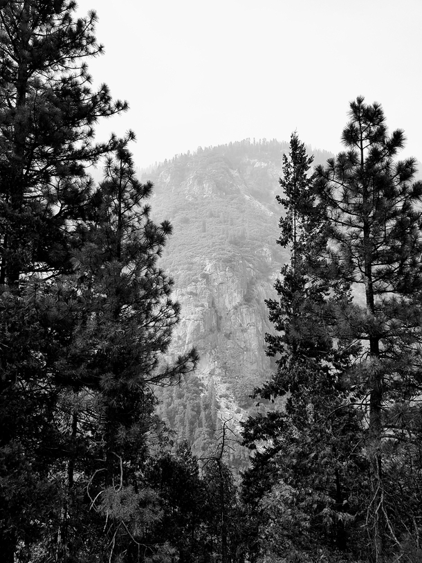 I love this black and white photo of Yosemite I took inspired by the legendary Ansel Adams 