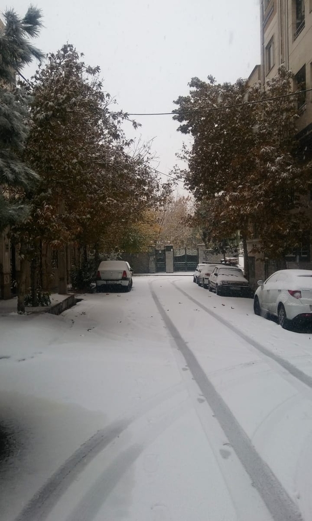 I love winter but we are not in this beautiful season yet  Its first snow of this year in iran and tehran city  I came back to my country after a year traveling around world and it was nice to see snow again after a year in mytown 