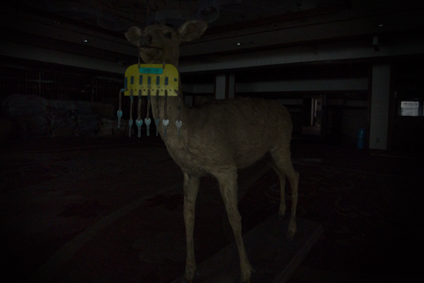 I met this guy in an abandoned hotel