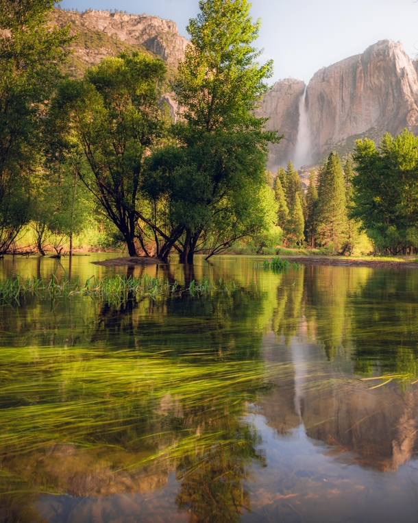 I really enjoyed the way the green came through from under the water as well as the reflection of Yosemite Falls Yosemite NP CA 