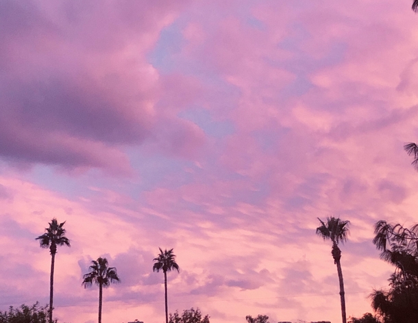 I see your Florida sunset and raise you an Arizona sunset 