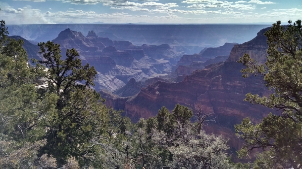 I think my husband captured the beauty of the North Rim of the Grand Canyon Arizona 