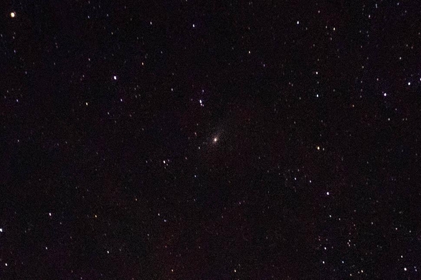 I took a random picture of stars and accidentally captured Andromeda in the center
