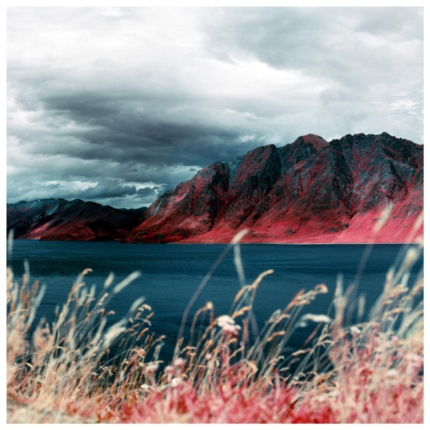 I took some old INFRARED FILM on a trip to Lake Hwea NZ 