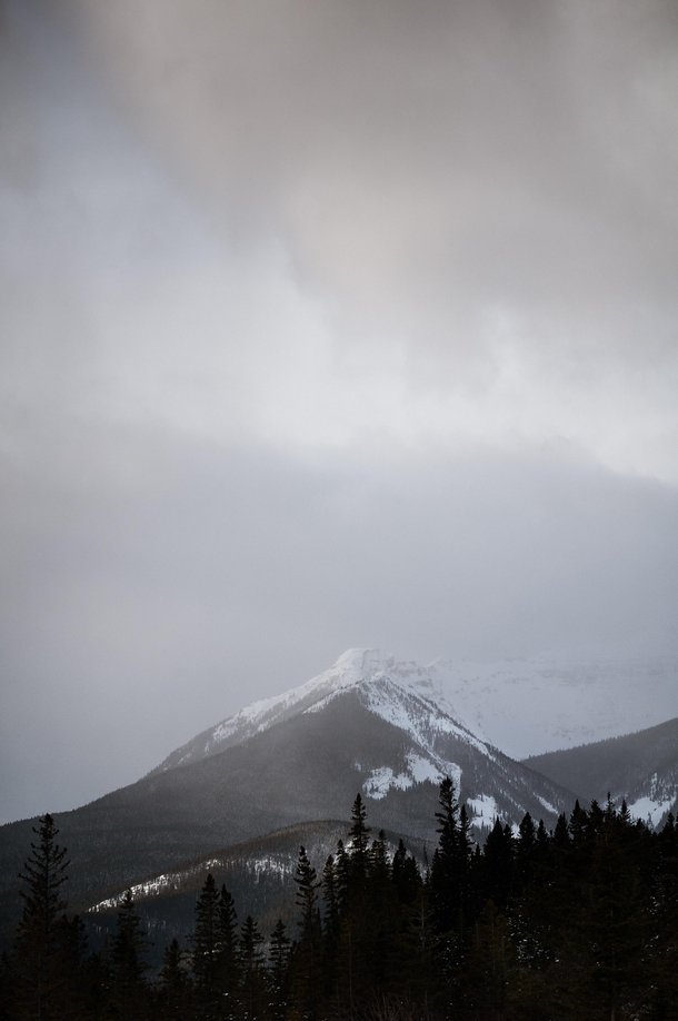 I took this photo is Alberta Canada Thought I would share 