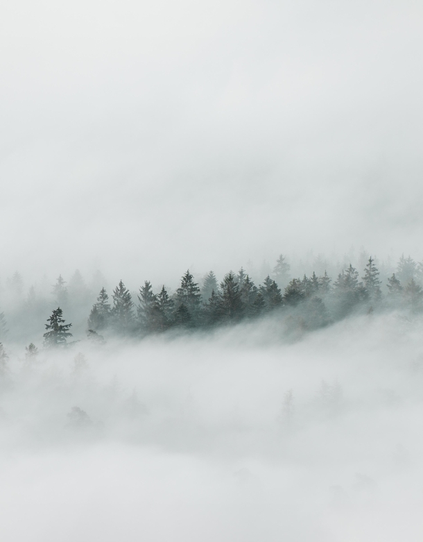 I took this shoot this morning near my home in northern Bavaria while the fog was lifting up creating this beautiful scenery  - more of my landscapes at insta glacionaut