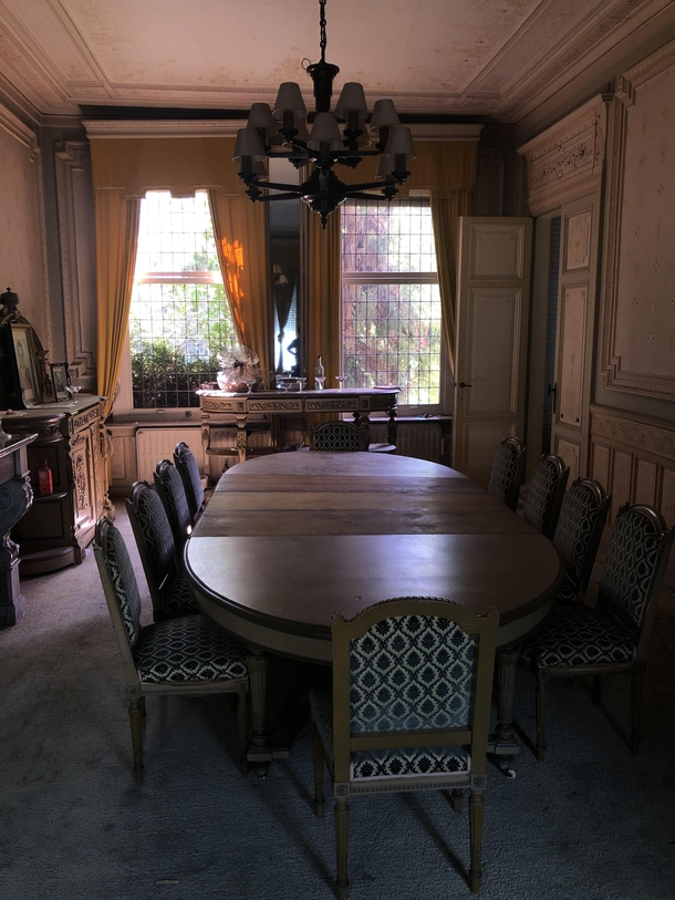 I visited an abandoned mansion earlier this summer its still almost fully furnished The dining hall alone is amazing The walls are decorated with floral patterns and lions filled in with gold leaf