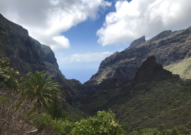 I visited the village of Masca in Tenerife Spain This is what the people who live there wake up to every day