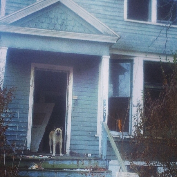 I was about to go in this house but its owner came to the door  Arndt St Detroit MI  