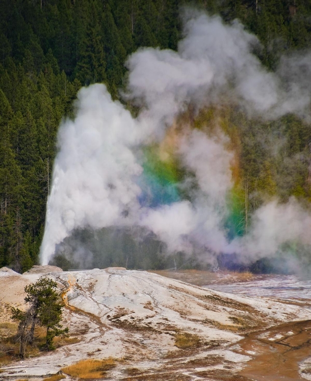 I was lucky enough to catch this geyser erupting and making its own rainbow Yellowstone NP USA 