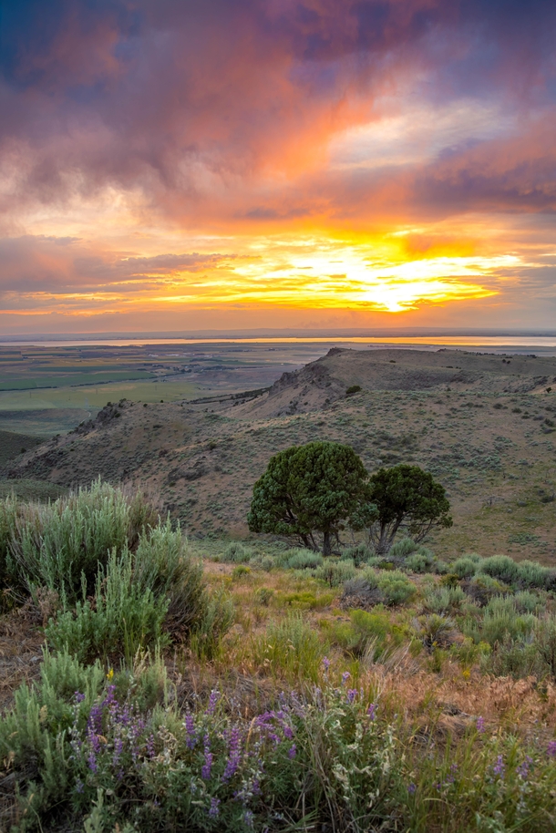 I was lucky to catch a gorgeous sunset over the Snake River Plain in Idaho 