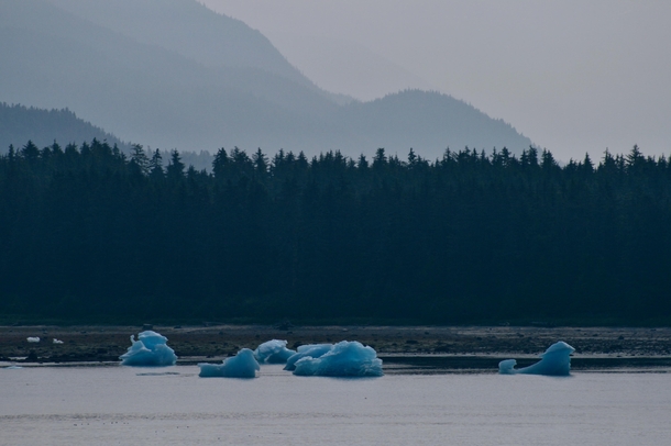 Icebergs in Tracy Arm Fjord Alaska 