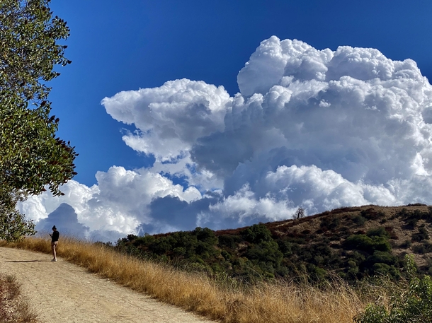 Ignoring a remarkable sky while texting in the hills above Los Angeles
