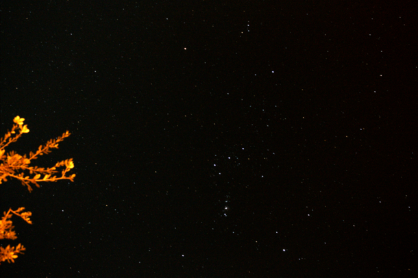 Image of Orion Constellation by me 
