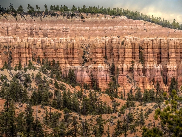 Imposing wall of hoodoos at Bryce Canyon Utah 
