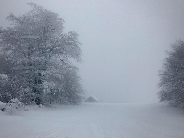 In an abandoned ski resort during a snowfall  Bjelolasica Croatia 