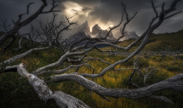 In Deep - Torres Del Paine -  IG ericthiessen_photography